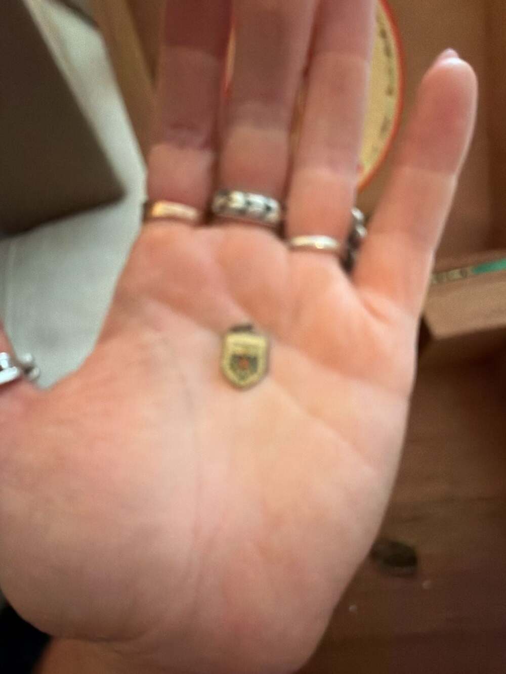 Vintage 925 Sterling Silver Austria Osterreich Shield Charm/Pendant